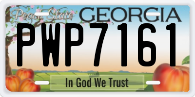 GA license plate PWP7161