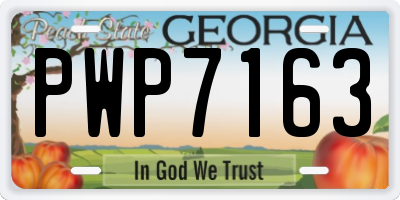 GA license plate PWP7163