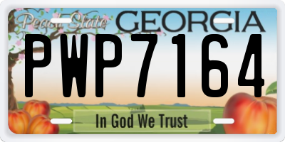 GA license plate PWP7164