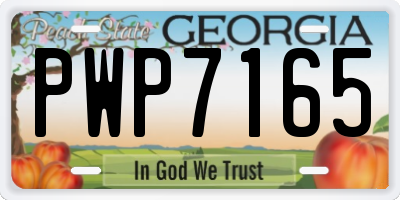 GA license plate PWP7165