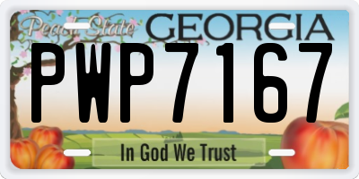 GA license plate PWP7167