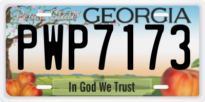 GA license plate PWP7173