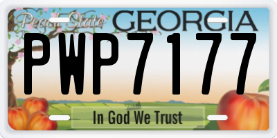 GA license plate PWP7177