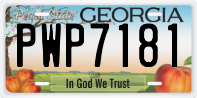 GA license plate PWP7181