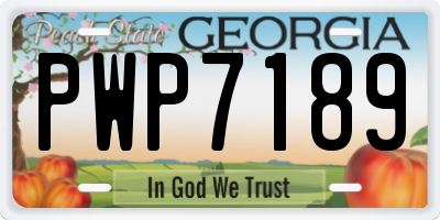 GA license plate PWP7189