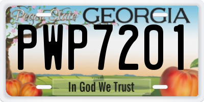 GA license plate PWP7201