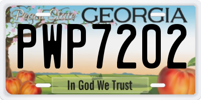 GA license plate PWP7202