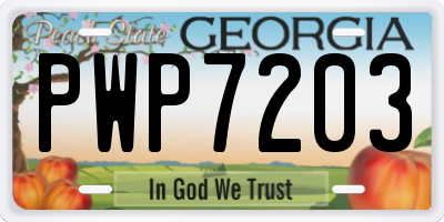 GA license plate PWP7203