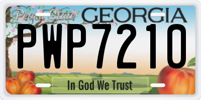 GA license plate PWP7210