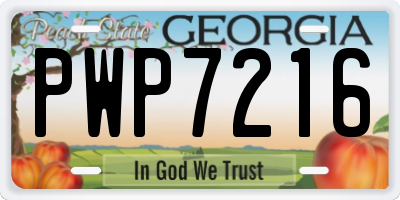 GA license plate PWP7216