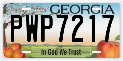 GA license plate PWP7217