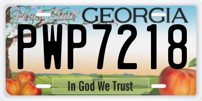 GA license plate PWP7218