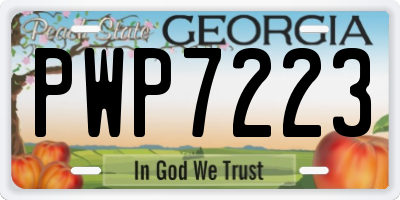 GA license plate PWP7223