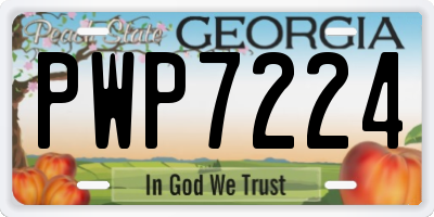 GA license plate PWP7224