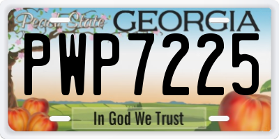GA license plate PWP7225