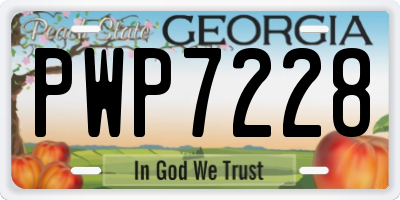 GA license plate PWP7228