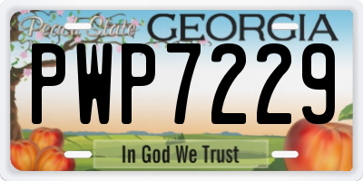 GA license plate PWP7229