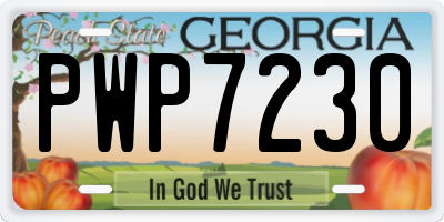 GA license plate PWP7230
