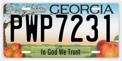 GA license plate PWP7231