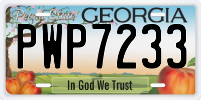 GA license plate PWP7233
