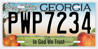 GA license plate PWP7234