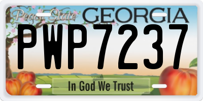 GA license plate PWP7237