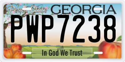 GA license plate PWP7238