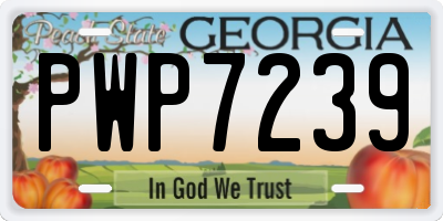 GA license plate PWP7239