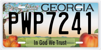 GA license plate PWP7241