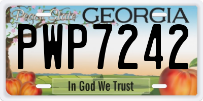 GA license plate PWP7242