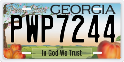 GA license plate PWP7244