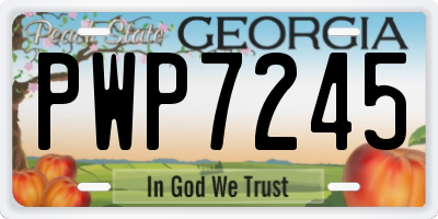 GA license plate PWP7245