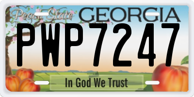 GA license plate PWP7247