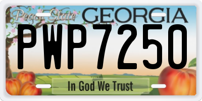 GA license plate PWP7250