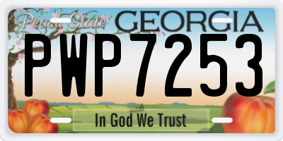 GA license plate PWP7253