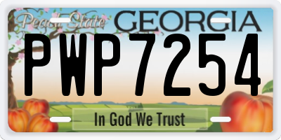 GA license plate PWP7254