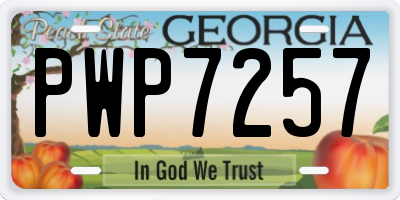 GA license plate PWP7257