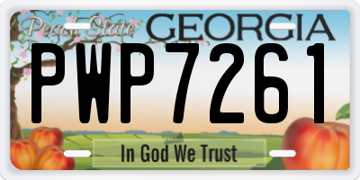 GA license plate PWP7261