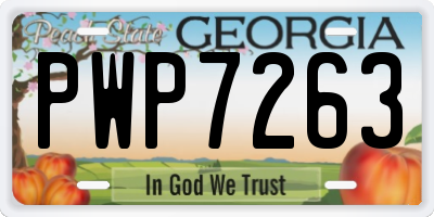 GA license plate PWP7263