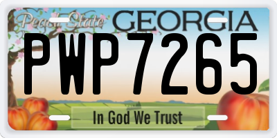 GA license plate PWP7265