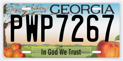 GA license plate PWP7267