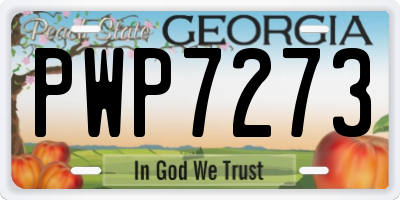 GA license plate PWP7273