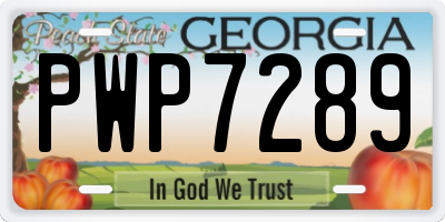 GA license plate PWP7289