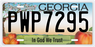 GA license plate PWP7295