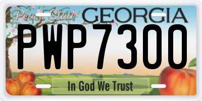 GA license plate PWP7300