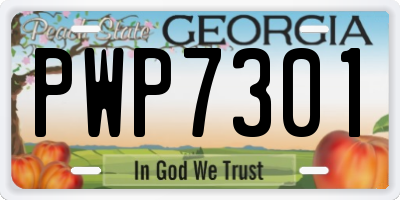 GA license plate PWP7301
