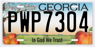 GA license plate PWP7304