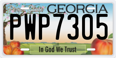GA license plate PWP7305