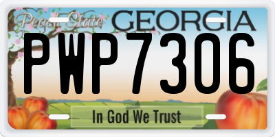 GA license plate PWP7306