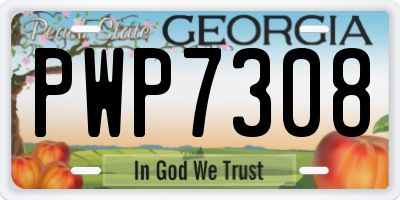 GA license plate PWP7308